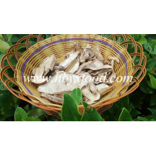 Top Quality Dried Fresh Wild Porcini Mushrooms